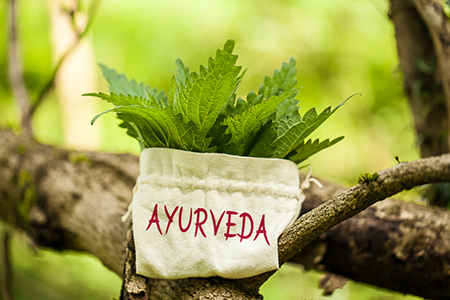 Ist Frischkost mit Ayurveda vereinbar? Ein Interview mit Dr. Switzer